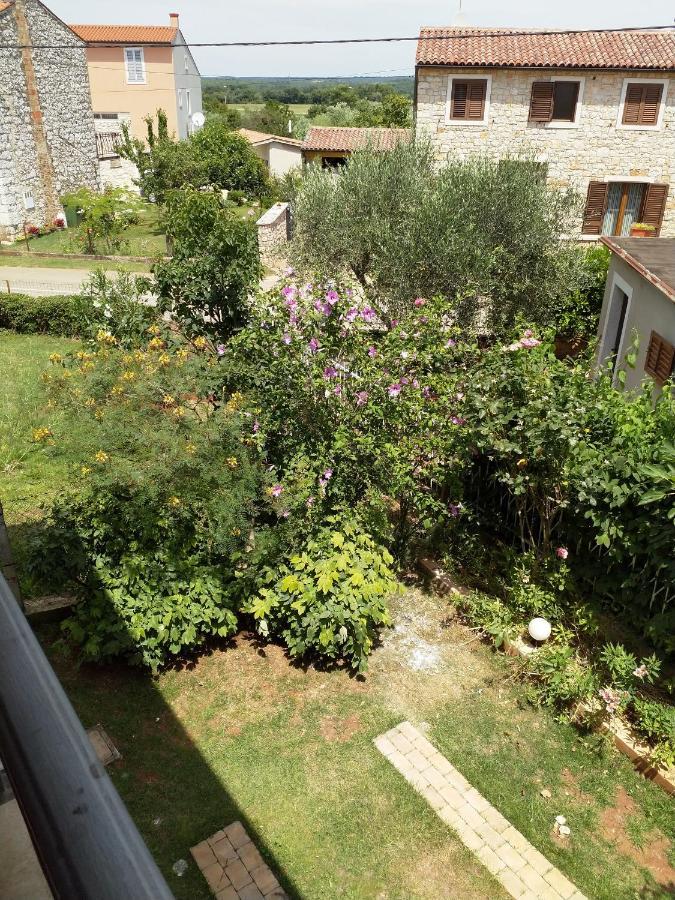 Happy Home Petrovija Exterior photo